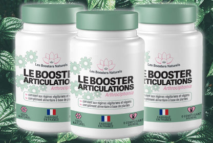 Le Booster Articulations 🦴 Souplesse et Mobilité